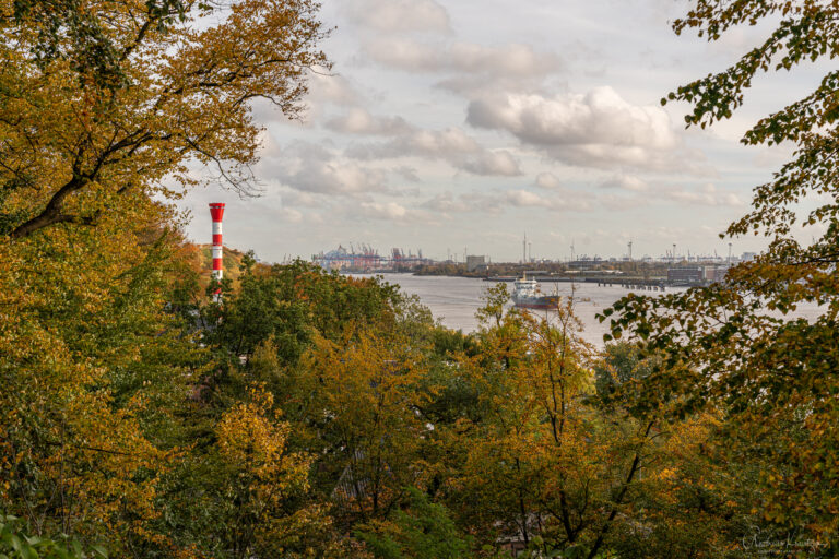 Blick von der Aussichtsterrasse Baurs Park